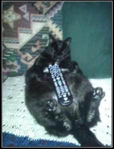 frabz-I-DONT-USUALLY-WATCH-TV-BUT-when-I-do-Im-always-in-control-b15058