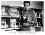the-zodiac-killer-production-still_6-1971